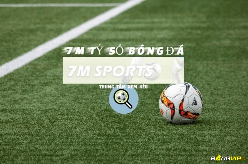 7Msport live score là website cung cấp các thông tin về thể thao