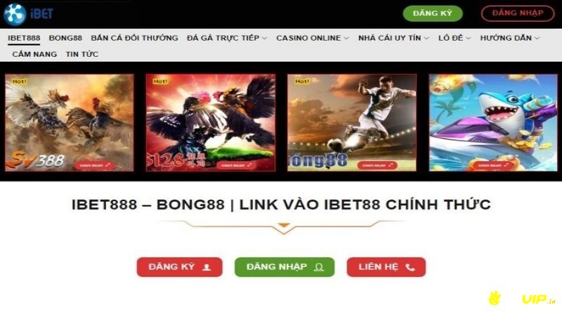 Nên chọn link uy tín để truy cập trang quản trị IBET