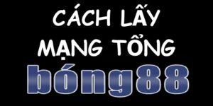 Tổng Bóng - Cách lấy trang mạng tổng Bong88 mới nhất