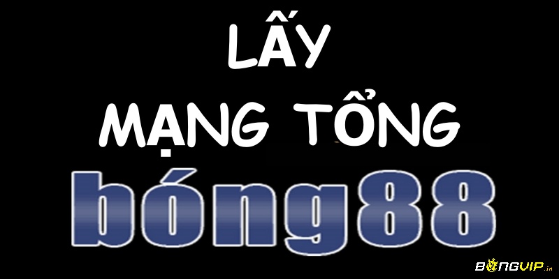 Mạng tổng Bong88 có thể mang lại nguồn thu nhập ổn định cho cược thủ