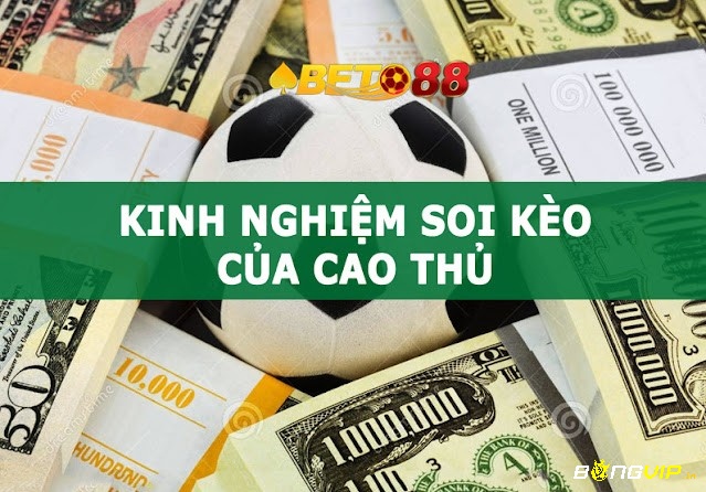 Tỷ le bong 88 có những đặc điểm nổi bật gì?