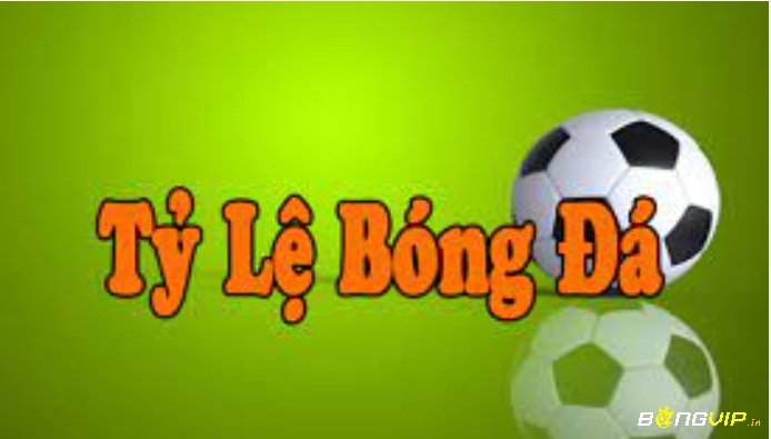 Tỷ le bong 88 mang đến những thông tin gì?