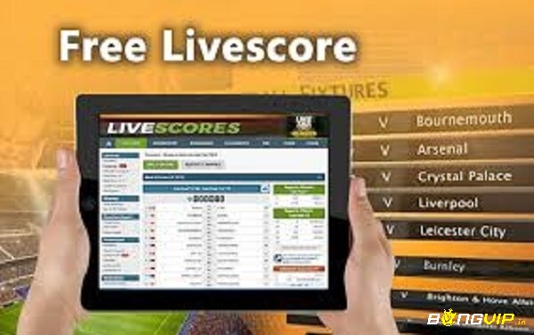  www 7M cn livescore hoàn toàn miễn phí