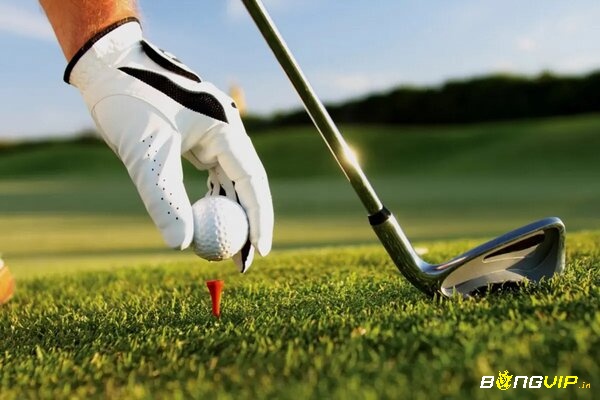 Chọn golfer chiến thắng theo tỷ lệ chấp của nhà cái 