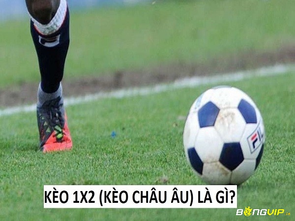 Kèo Châu Âu (1X2) có những đặc điểm gì?