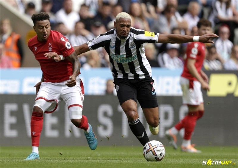 Joelinton là Từ thảm họa đến thần tượng mới ở Newcastle