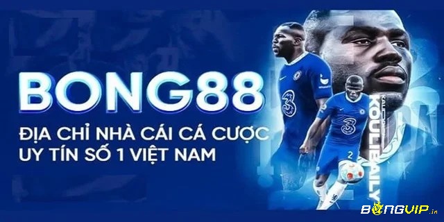 Cùng bongvip tìm hiểu về nhà cái bóng đá 88 chấm com nhé