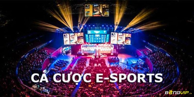 Cá độ esports có những điểm hấp dẫn gì?