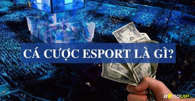 Cẩm nang tham gia Cá độ esports hay nhất