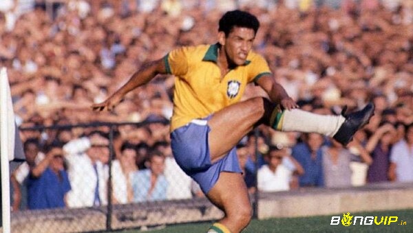 Garrincha cùng Brazil 2 lần nâng cao chiếc cúp vô địch World Cup