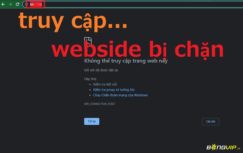 Hướng dẫn dùng VPN truy cập Bongvip khi bị chặn cực kì đơn giản