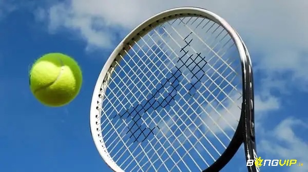 Cùng bongvip tìm hiểu về thuật ngữ trong tennis nhé 