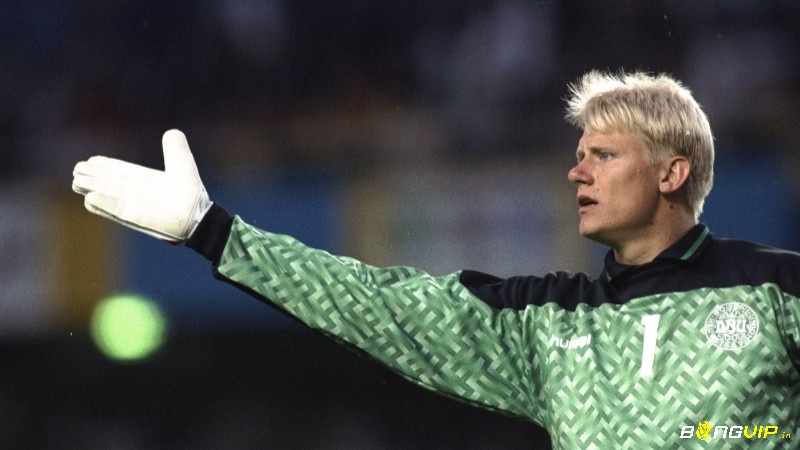 Thành tựu nổi bật nhất của Schmeichel là việc giúp Đan Mạch vô địch Euro 1992