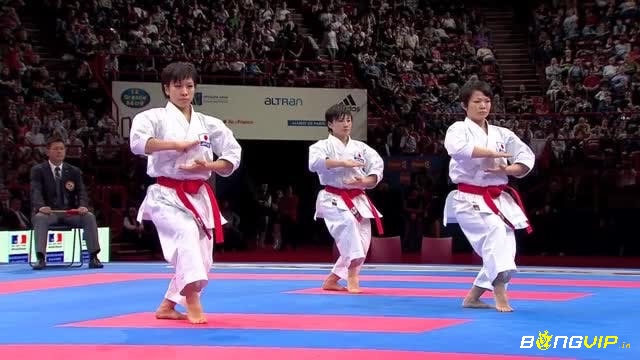 Karate là bộ môn võ thuật hấp dẫn và nổi bật nhất của Nhật Bản